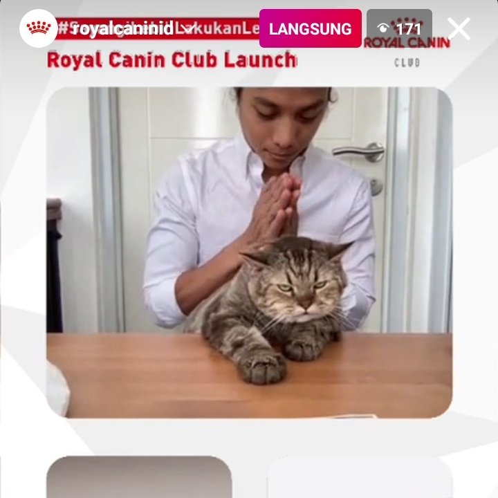 zoo jimboonnnnn, liat live RC di IG guyss ada jimbon yg pasrah bgt wkwkwk