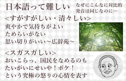 日本語の美しさ Twitter Search Twitter