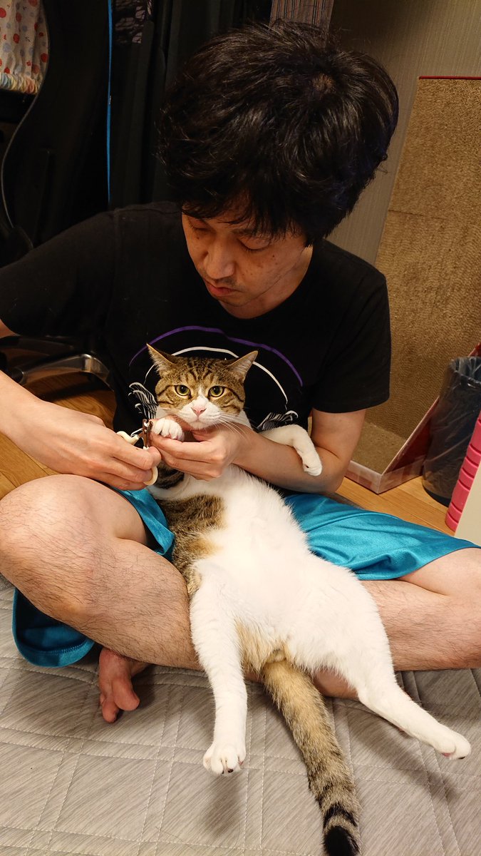 11020422's tweet photo. 目は口ほどに物を言う
#猫好きさんと繫がりたい 
#猫のいる暮らし 
#猫がいる幸せ https://t.co/g22SzvuXi5
