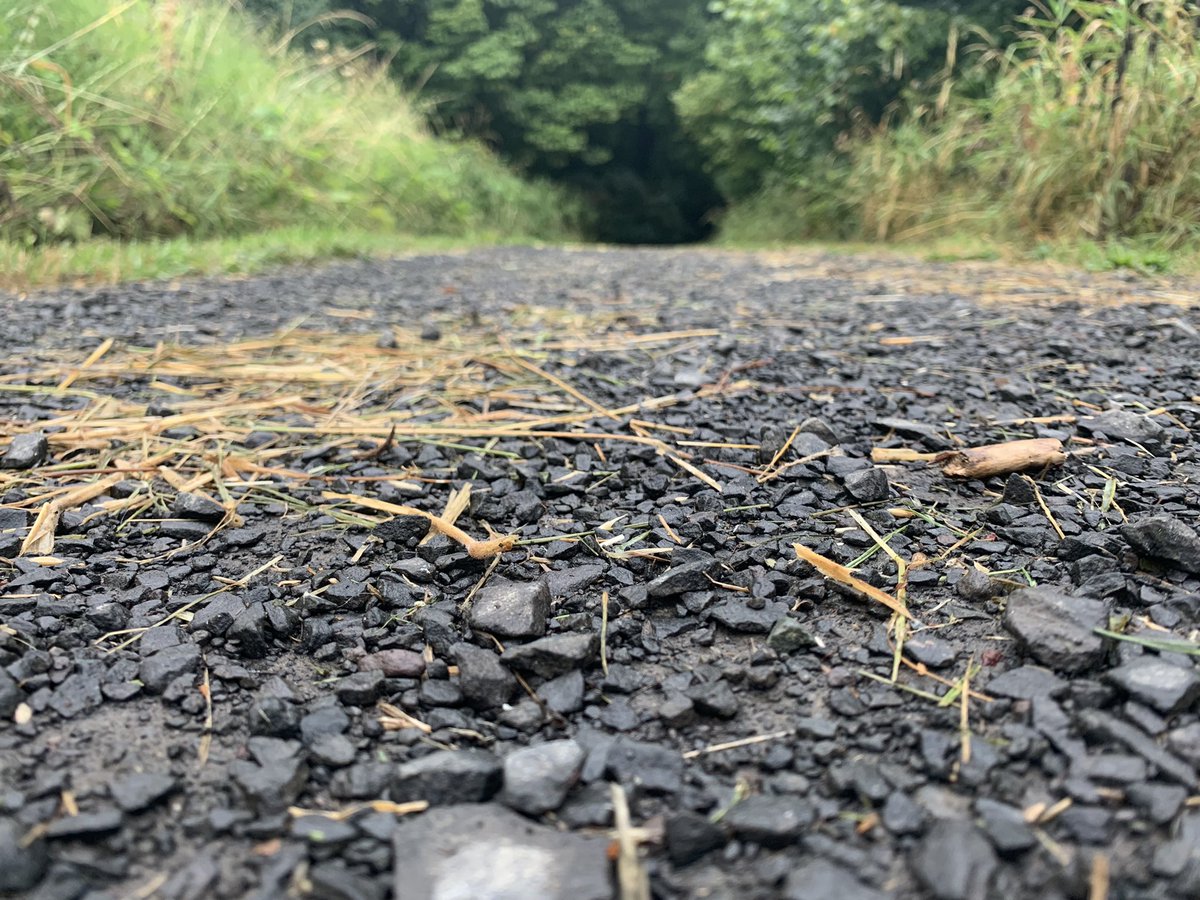 shaunhardie's tweet photo. Nature walk ๐ #NaturePhotography #peacefulwalk #camerafun #portraitmode https://t.co/eLaXbcHucq