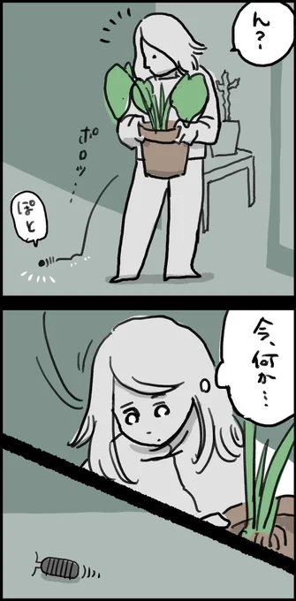 イッッヌが!ダンゴムシを食べちゃった🤦‍♀️💥と思ったら…まさかの…。天使の顔してこの所業よ… 