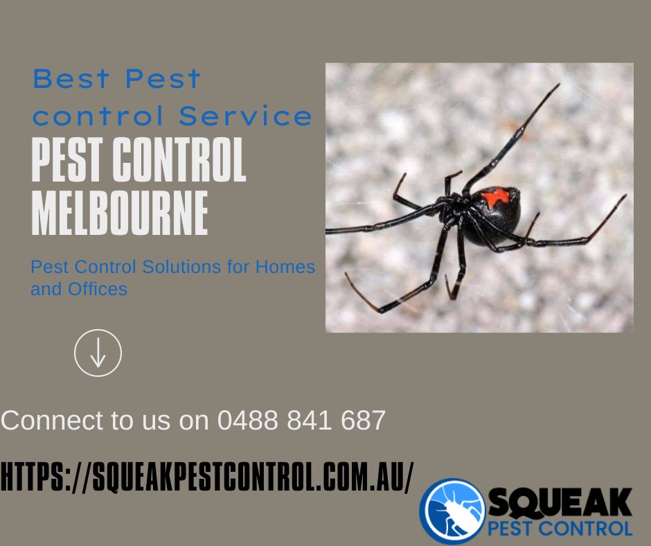 PestSqueak's tweet photo. Are you looking for #Pestcontrol service provider at #Melbourne with an affordable pricing? We are here to help you out with the service.

https://t.co/97pjkHPPXv https://t.co/sPsthaXrzH