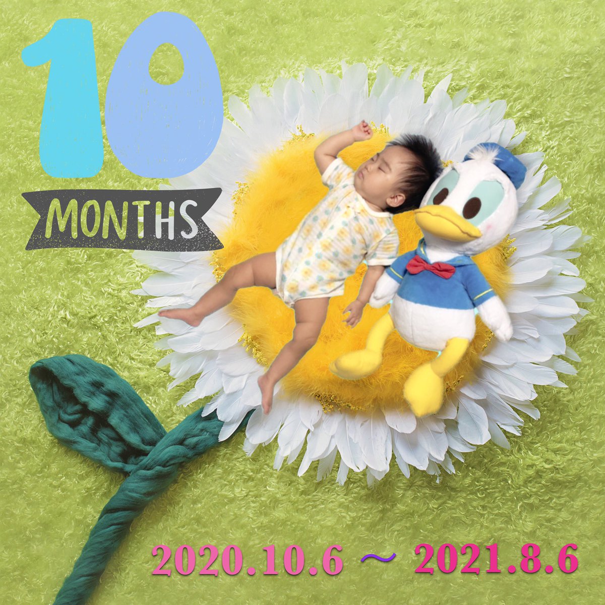 sasuke2016101's tweet photo. 今月で👶🏻10ヶ月になりました😘
最近 出来るようになった事は
・名前 呼ばれて挙手
・拍手
・バイバイ
・約五歩 1人で歩く
・食欲大勢🍙

さすけ🐕のように
強がりで元気いっぱいだけど
やっぱり怖がりなところが
似てる気がする(笑🥺

 #生後10ヶ月 
 #赤ちゃんのいる生活 
 #犬好きさんと繋がりたい https://t.co/DjC4cHOAIZ