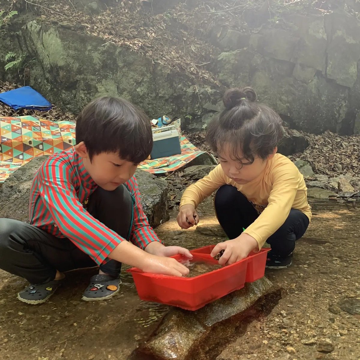alisasli_'s tweet photo. Song ho jin & song si jin lucu anettt ciii, bismillah omnya ๐
#SongSiblings https://t.co/yfnLrchdsZ