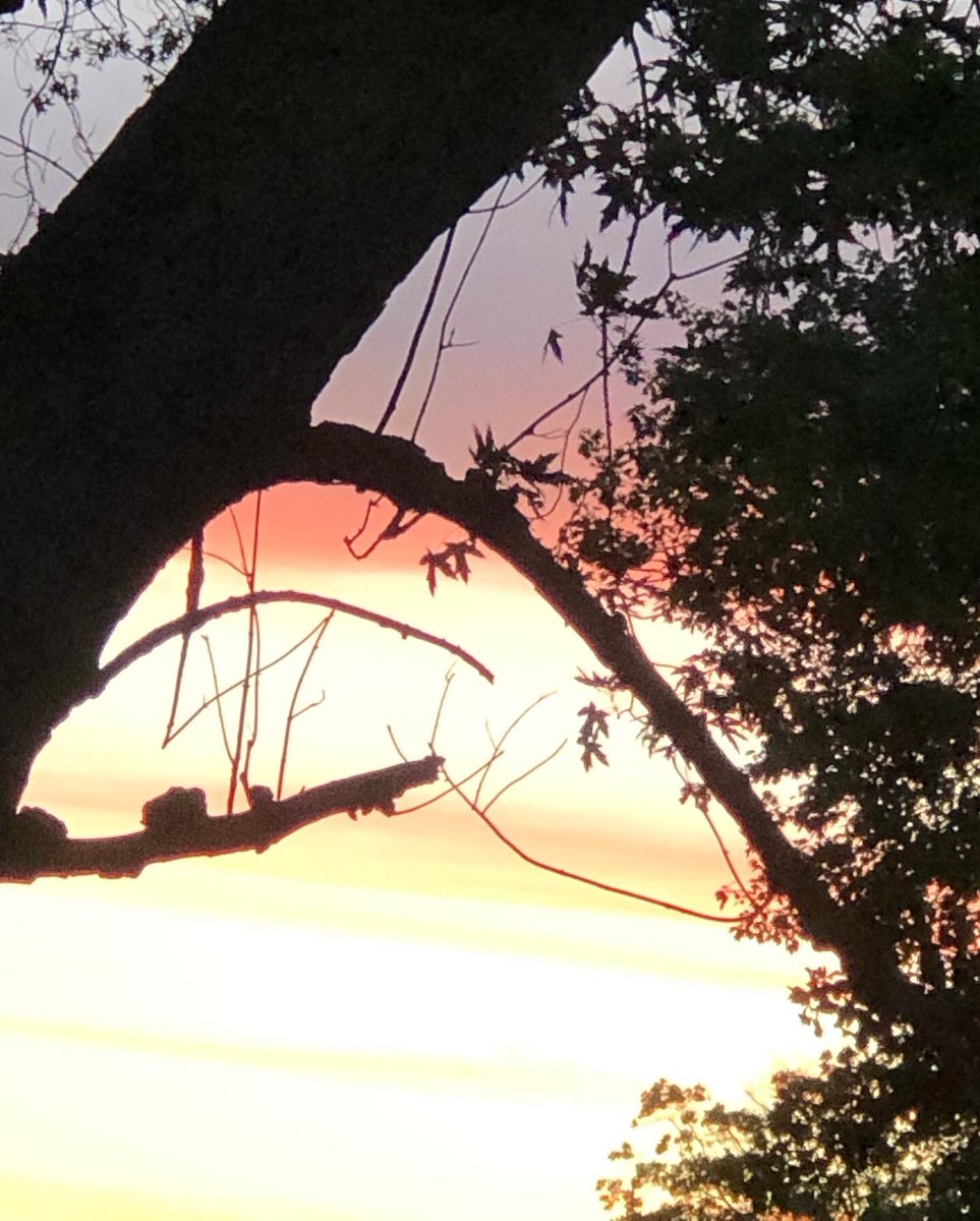 willluvsgod's tweet image. Let the Heavens and the Earth glorify the LORD, Praise him and highly exalt him forever.