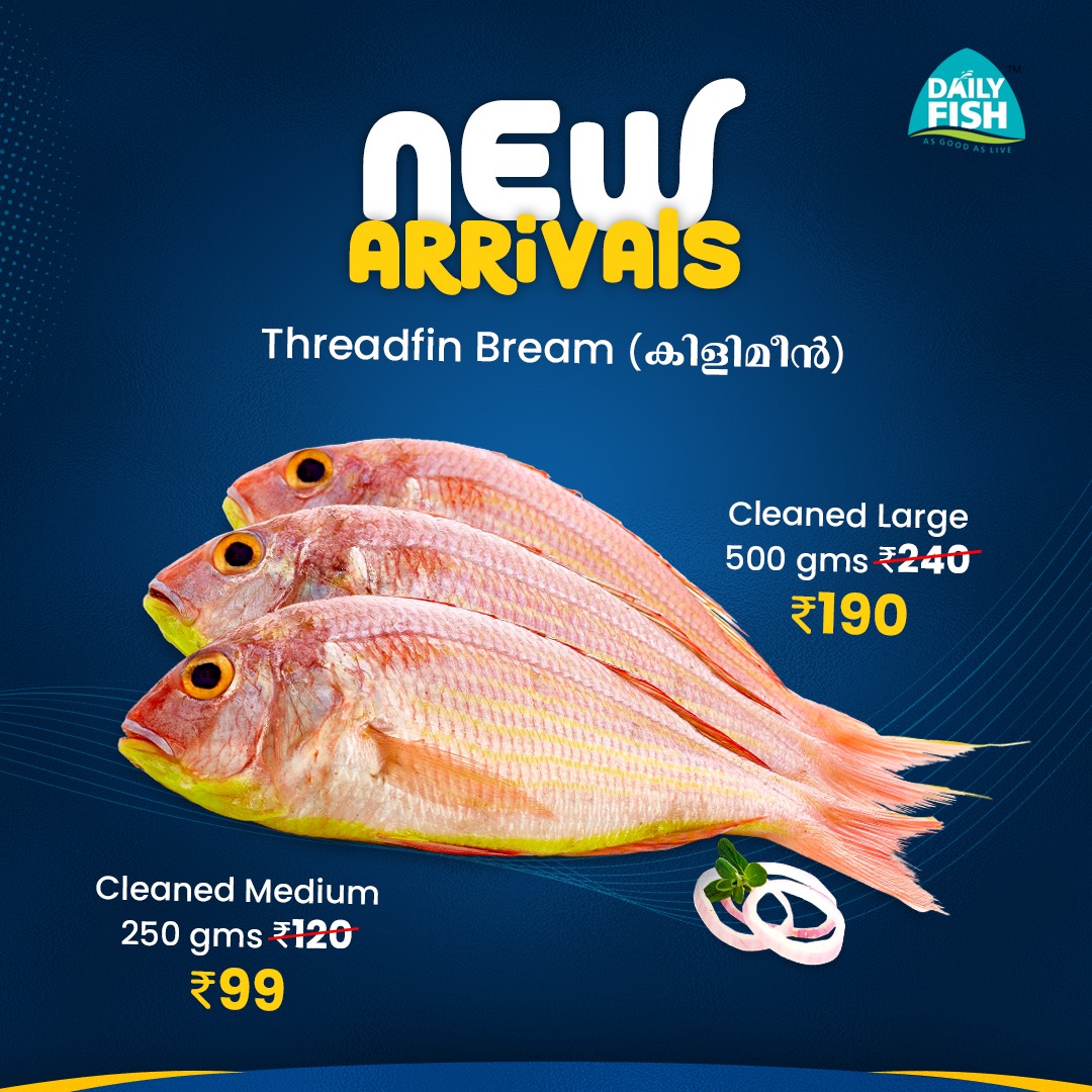 DailyFish India tweet media