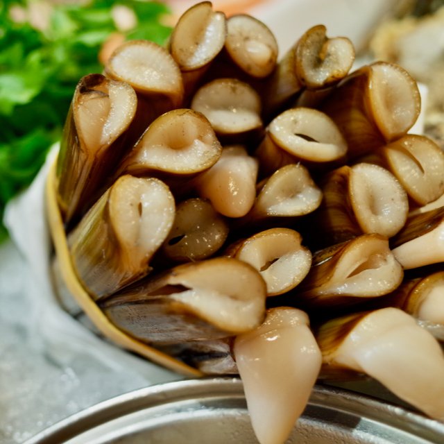 Razor clams gracing the show today. Highbury, Swains and Belsize.