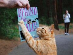 Cats think every day is International Cat Day. Jolie's cat, Jazz, and Smashwords have some fun books with cats for your to enjoy.  https://t.co/xlhigBVfpw https://t.co/s8sHMODiA9