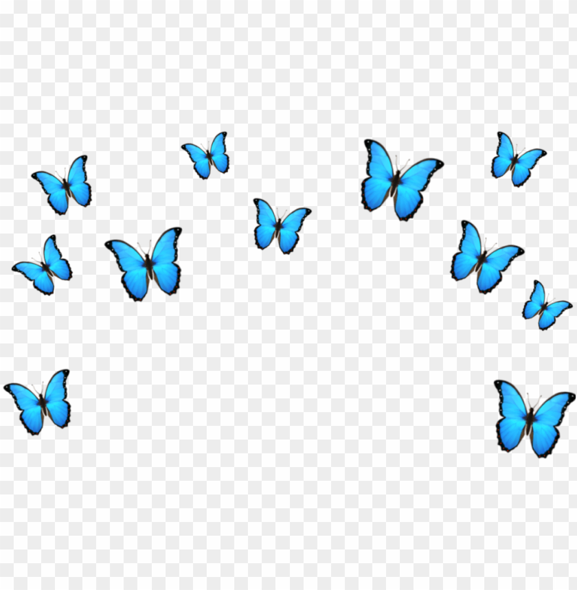 However you are feeling on this day, stop &amp; ask yourself, how can I make this day more beautiful starting from this present moment?💭🌻You can accomplish a shift &amp; upgrade in your emotional set point by thinking and intentionally reaching for the next... instagram.com/p/CSQ8P7FLsWi/
