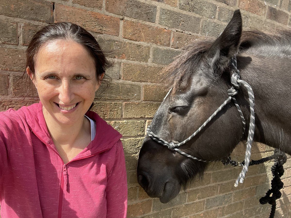 HazzyC's tweet photo. I got to have groundwork time with and then ride @BurrowsCorcoran’s horse Bear today - he’s such a kind horse to have time with - and he moved so beautifully - what a treat :-) 🙏❤️ https://t.co/j2tJEHCwOX
