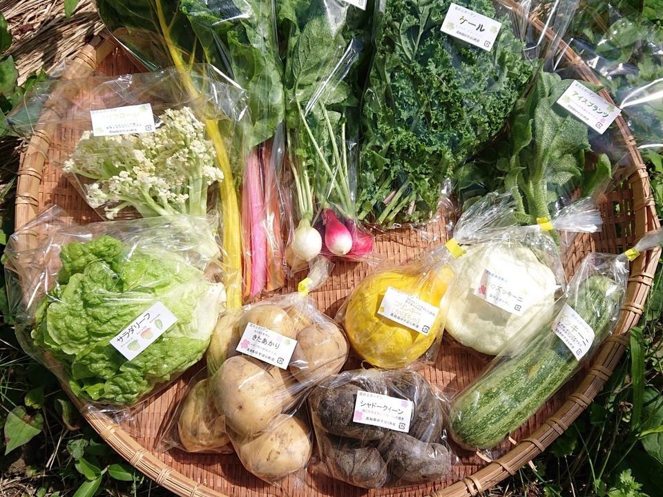 agri0607's tweet image. 高知で多品目を育てる野菜農家さんからのSOS。

この時期のお野菜とても好きなのでぜひ食べてほしい気持ちです🍆🍅🥒

#農家漁師からのSOS

👇イチオシの野菜セット