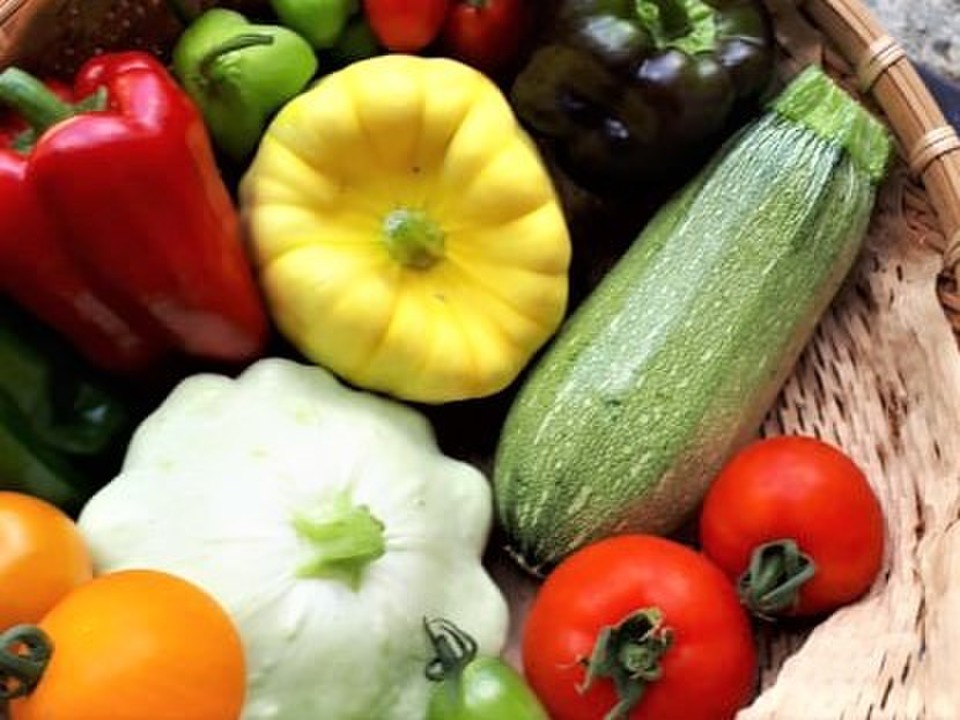 agri0607's tweet image. 高知で多品目を育てる野菜農家さんからのSOS。

この時期のお野菜とても好きなのでぜひ食べてほしい気持ちです🍆🍅🥒

#農家漁師からのSOS

👇イチオシの野菜セット