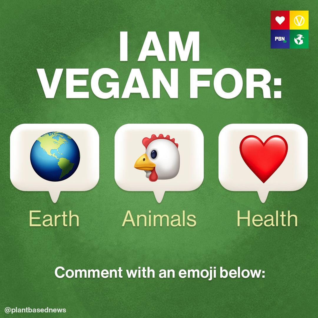 🌎- The largest ever study on our farming says a plant-based diet is the best thing you can do ​to for the planet.
🐓- We kill over 60 billion land animals per year, that’s 7x Earth’s human population.
❤️- A whole food, plant-based diet is proven to prevent ​​many ​​diseases.