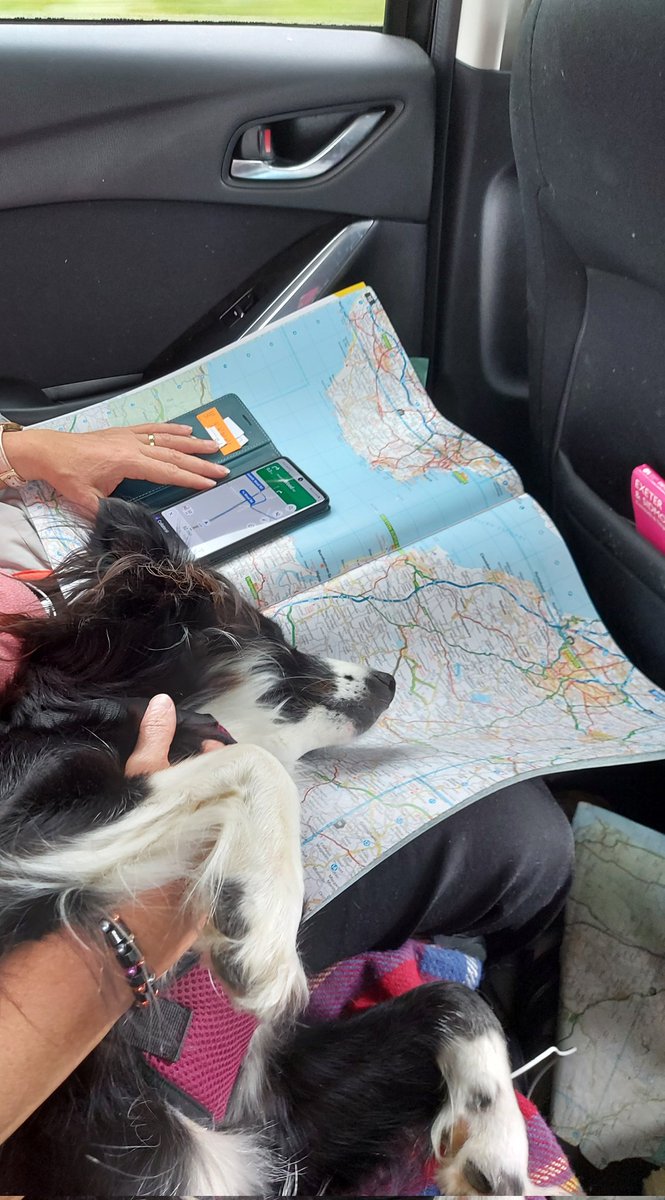 HannahSnape's tweet photo. She's cute but she's a useless navigator https://t.co/EkCy82zTb1