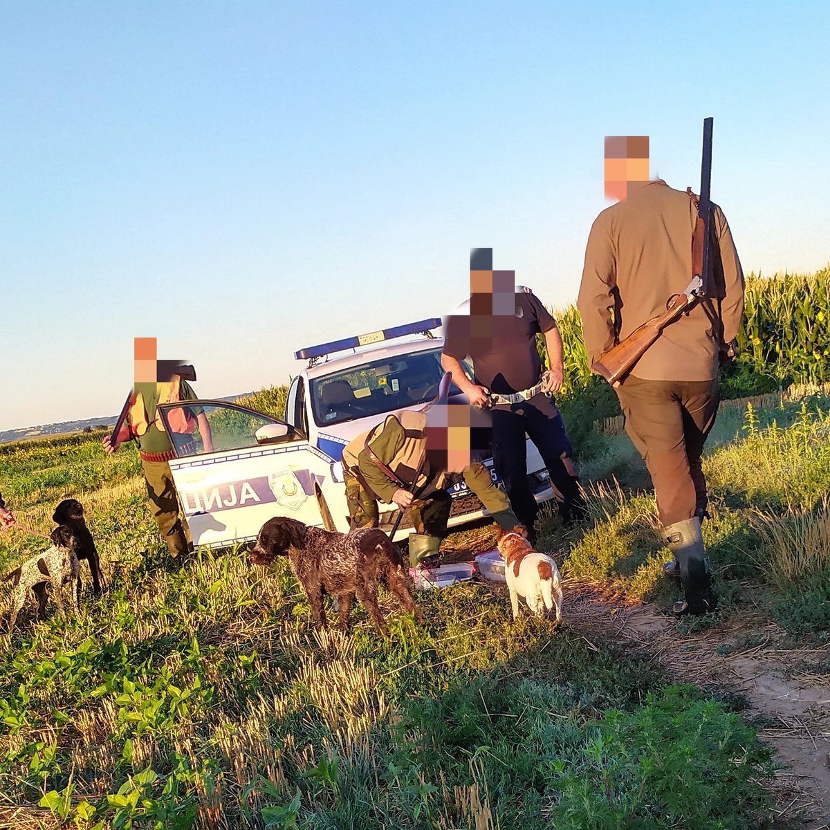 BirdLifeSerbia's tweet image. 📣 USPEŠNA AKCIJA otkrivanja krivolova prepelica kod Titela!

👉 Četiri osobe zatečene u nezakonitom lovu uz korišćenje elektronskih vabilica. Kod osumnjičenih pronađena nezakonito ulovljena divljač. U toku je uzimanje izjava u Policijskoj stanici. Čeka se reakcija tužilaštva.