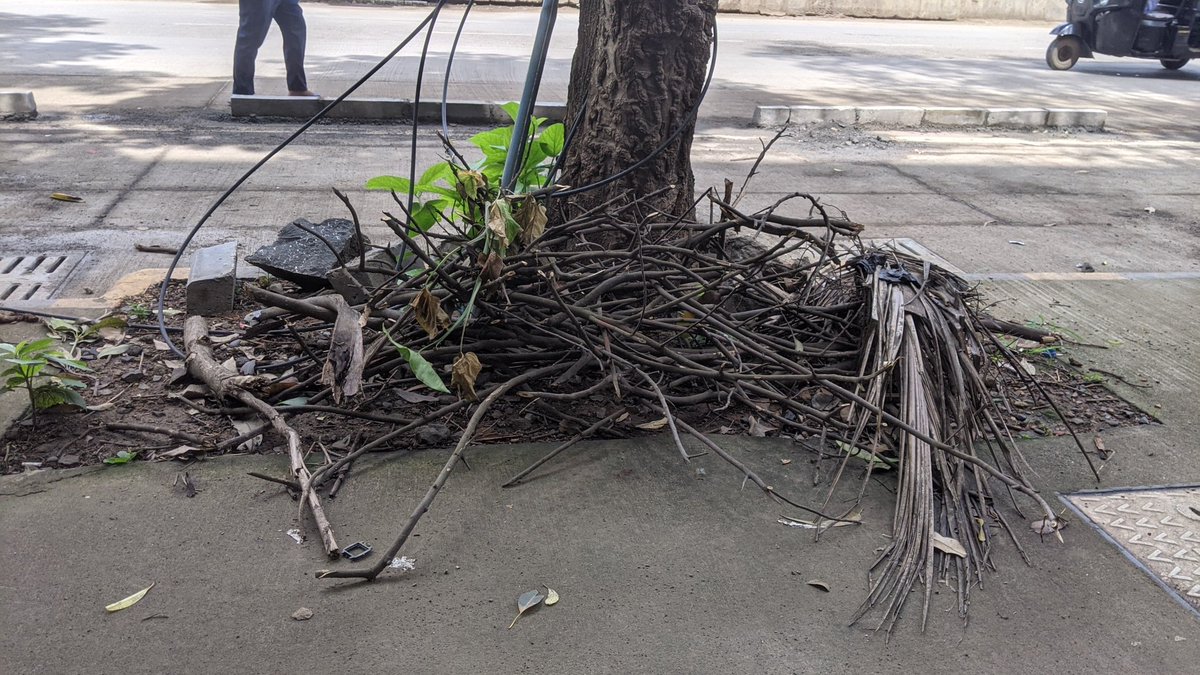 mumbaiskn's tweet photo. @mybmc @mybmcWardRN Tree branches which are trimmed are still lying and not picked up creating a mess on footpaths on Link Road I C COLONY BORIVALI W Off Link View CHS. Attach pic. https://t.co/yqcRXUiDSl