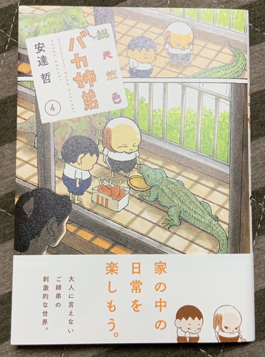 『総天然色バカ姉弟』4巻 