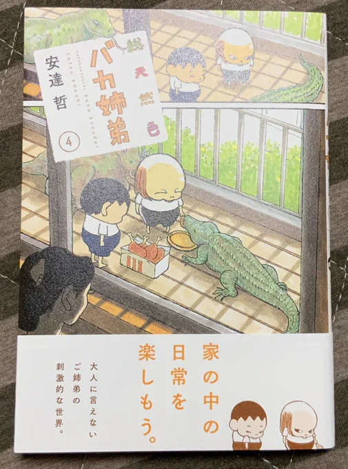『総天然色バカ姉弟』4巻 