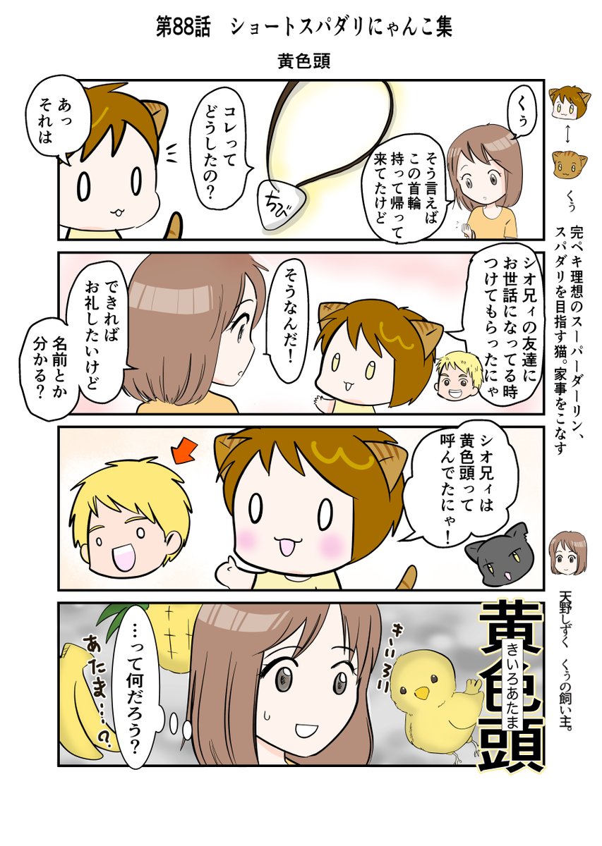 #スパダリにゃんこ 
#くぅの日常 第88話 
ショートスパダリにゃんこ集
今回は短編4コマです。

#創作マンガ #マンガが読めるハッシュタグ 