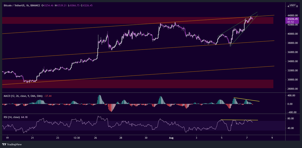 Amir 🪶 tweet media