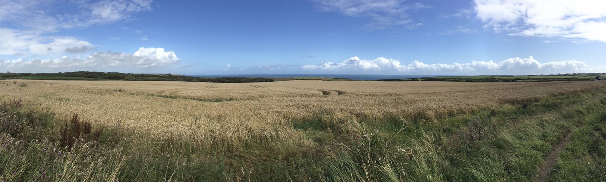 ViewsOfLizard's tweet photo. Fields above the sea between Lizard and Cadgwith. https://t.co/OAoVeZowcI
