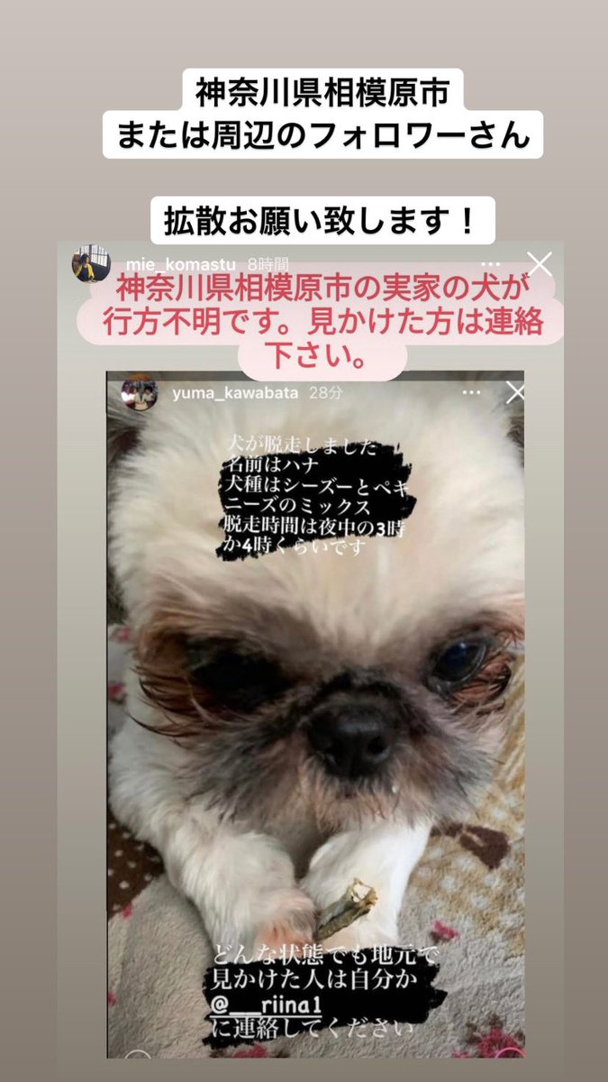 onmyoji_sanuki's tweet photo. #拡散希望
#RT希望 https://t.co/1rrYefFavt