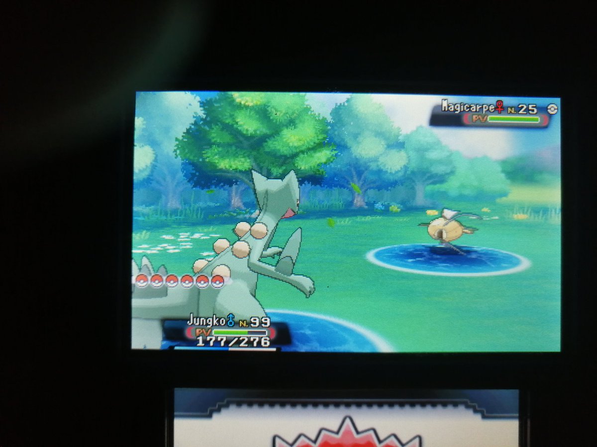 Kint_HS's tweet photo. Je me suis autorisé un petit break palc entre deux shasses. 2 #shinys en même pas 20 minutes. Ultra rentable ! https://t.co/Q8vGjk9jZH