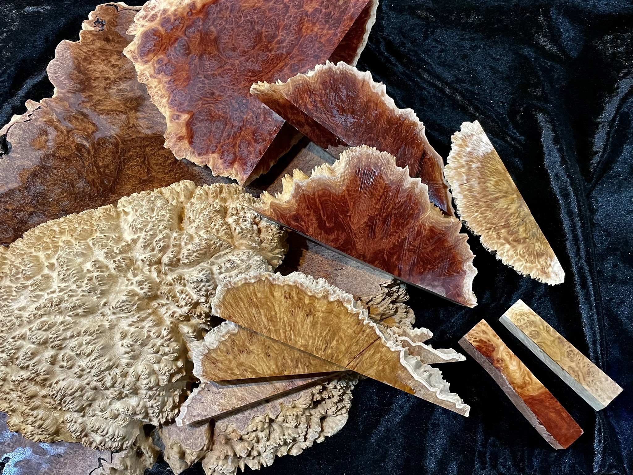 こぶた工房ユーカリマリーゴールドフィールドバールレッドマリー