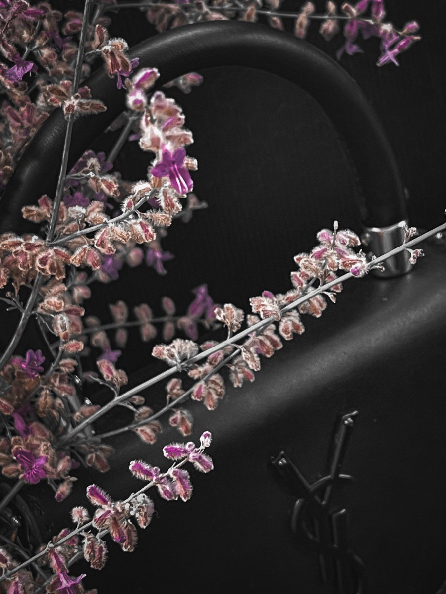 meanbeans69's tweet photo. Just another attempt to be aesthetic https://t.co/w3pxqJqn6e