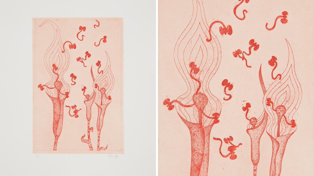 LaterEditions's tweet photo. We are delighted to launch 'Unfolding' a signed limited edition print by Cologne-based artist Mevlana Lipp. Using the classical technique of etching, Lipp takes inspiration from the study of flora, fauna &amp; biology. See details https://t.co/xlCVNcGt0D #contemporaryart #mevlanalipp https://t.co/I6nlWVnK6I