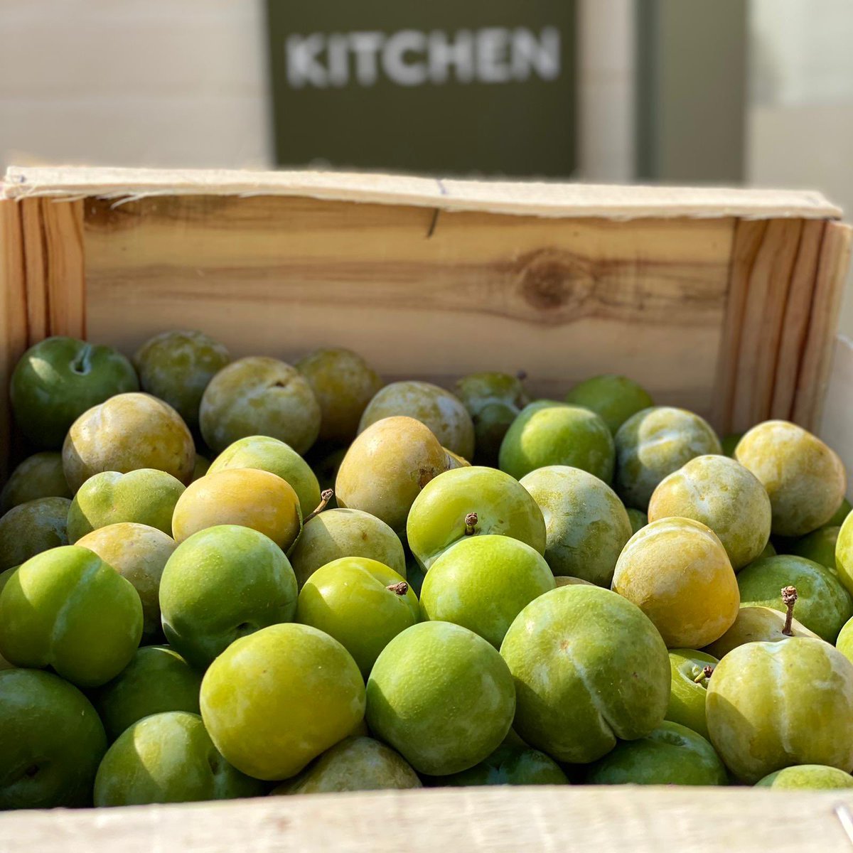 Beautiful greengage to accompany our cider braised shoulder of pork dish. 

#onthemenu #plums #pork #seasonal #pipeandglass