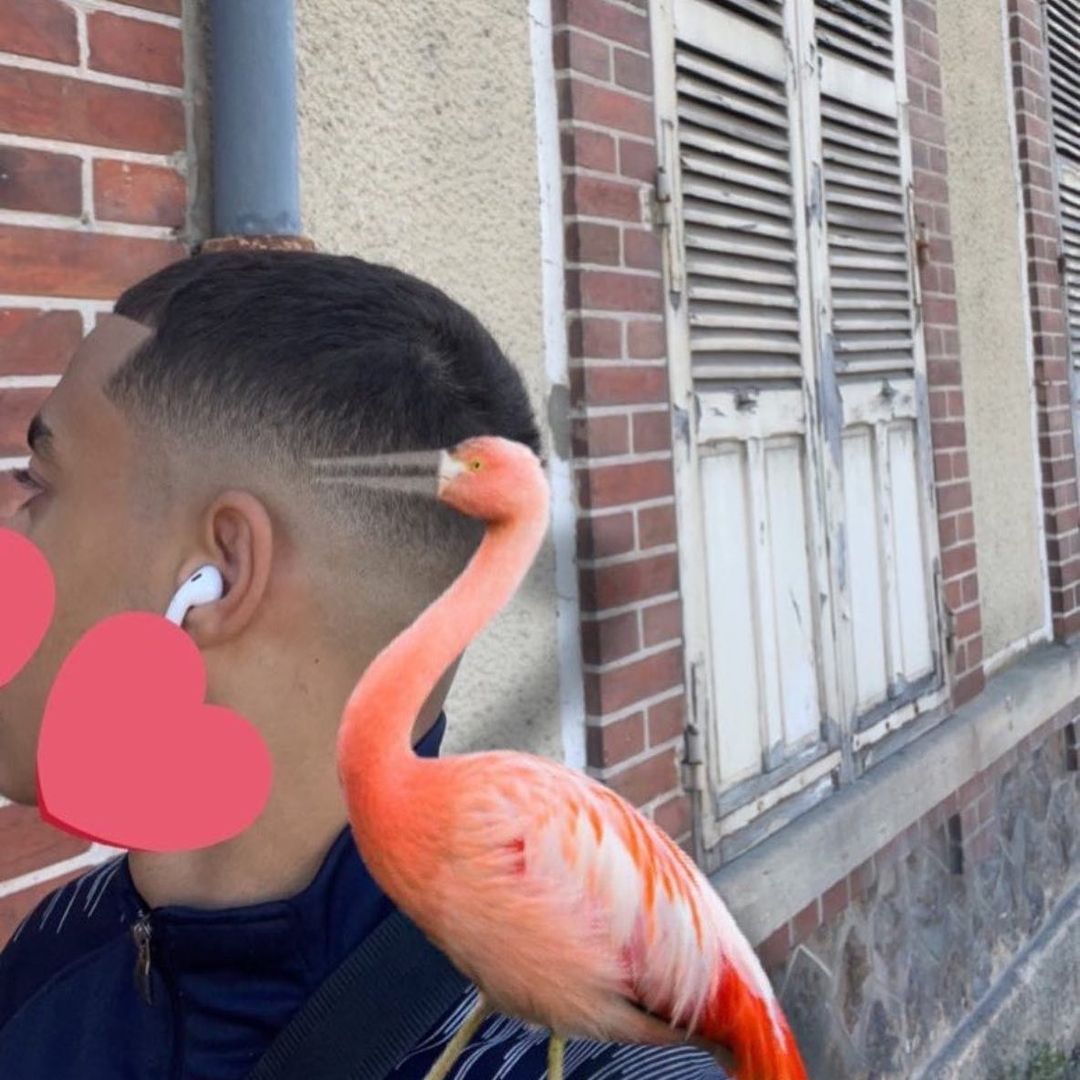 axiatechie's tweet photo. A guy posted his haircut and he got roasted 😭 https://t.co/MCcjx8Hwz2