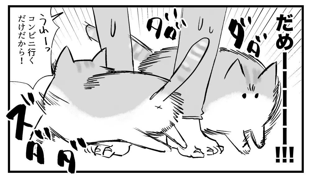 猫を飼っている人にとってはあるある？服装で飼い主がこれから外出することを察知し･･･！