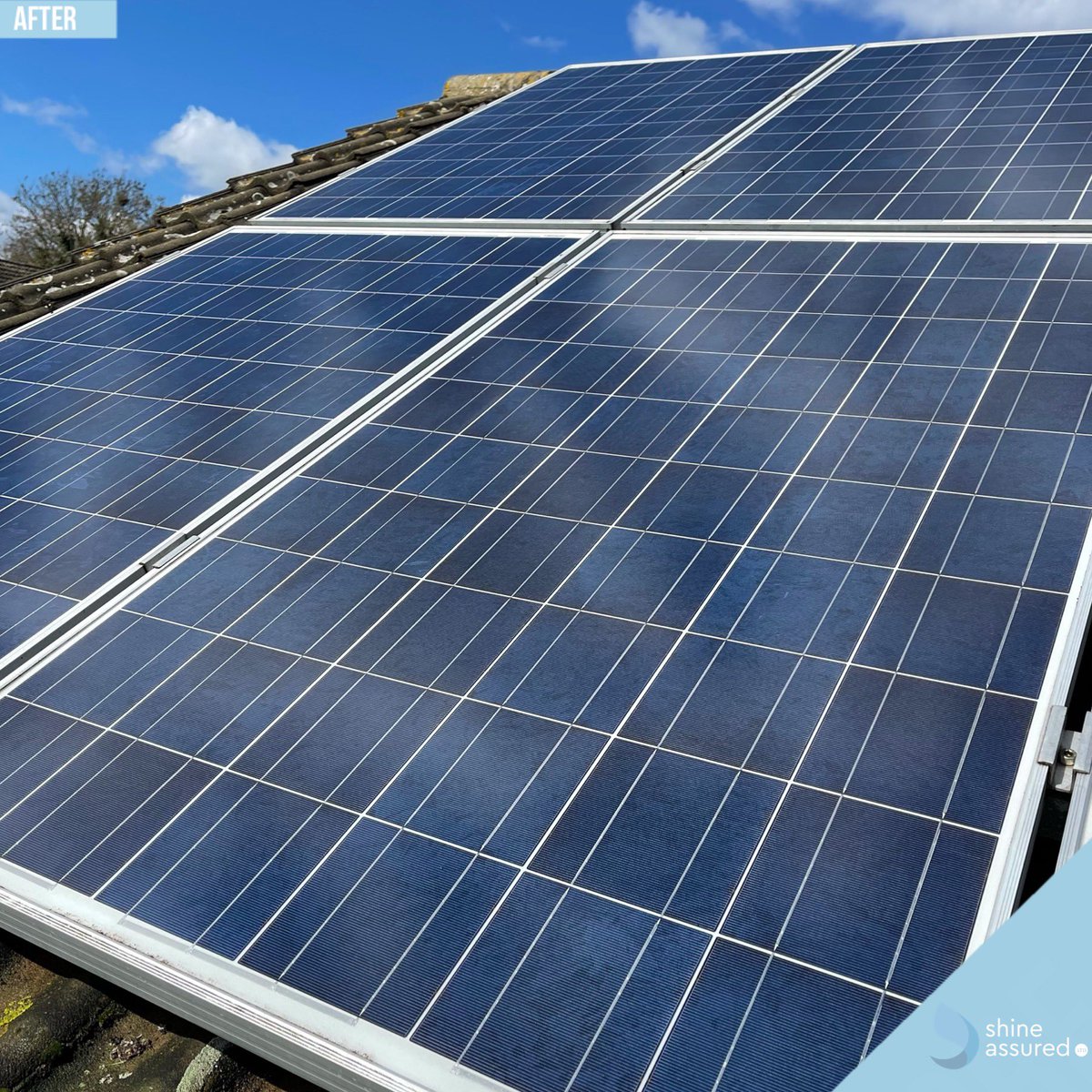 Some before and after pictures taken of some solar panels that we cleaned for for one of our regular and ongoing window cleaning customers a couple of weeks ago. 

Interested in having your solar panels cleaned? Call us on freephone 0800 910 1853 or email info@shineassured.com