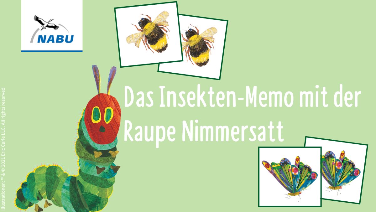 NABU_de's tweet photo. Du willst noch etwas üben, bevor du für den #Insektensommer zum Zählen nach draußen gehst?  Dann auf, auf zu unserem Insekten-#Memorie mit der Raupe Nimmersatt. https://t.co/9UrELUhiWV https://t.co/EKea4moGcQ