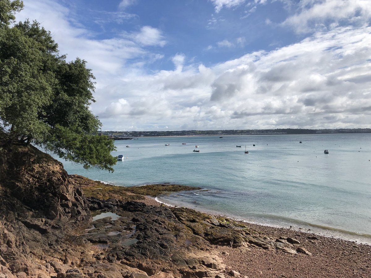 Mark Creedon tweet media