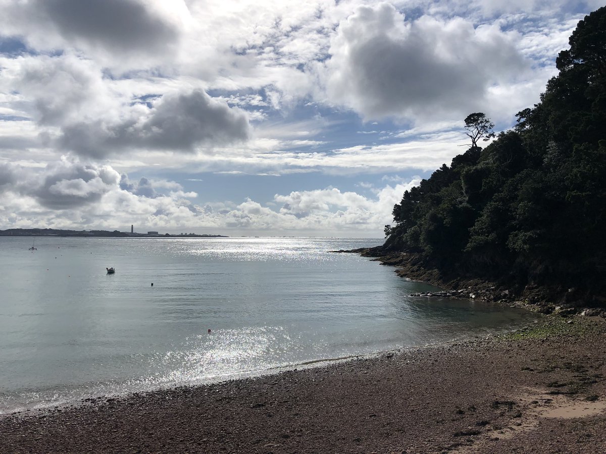 Mark Creedon tweet media