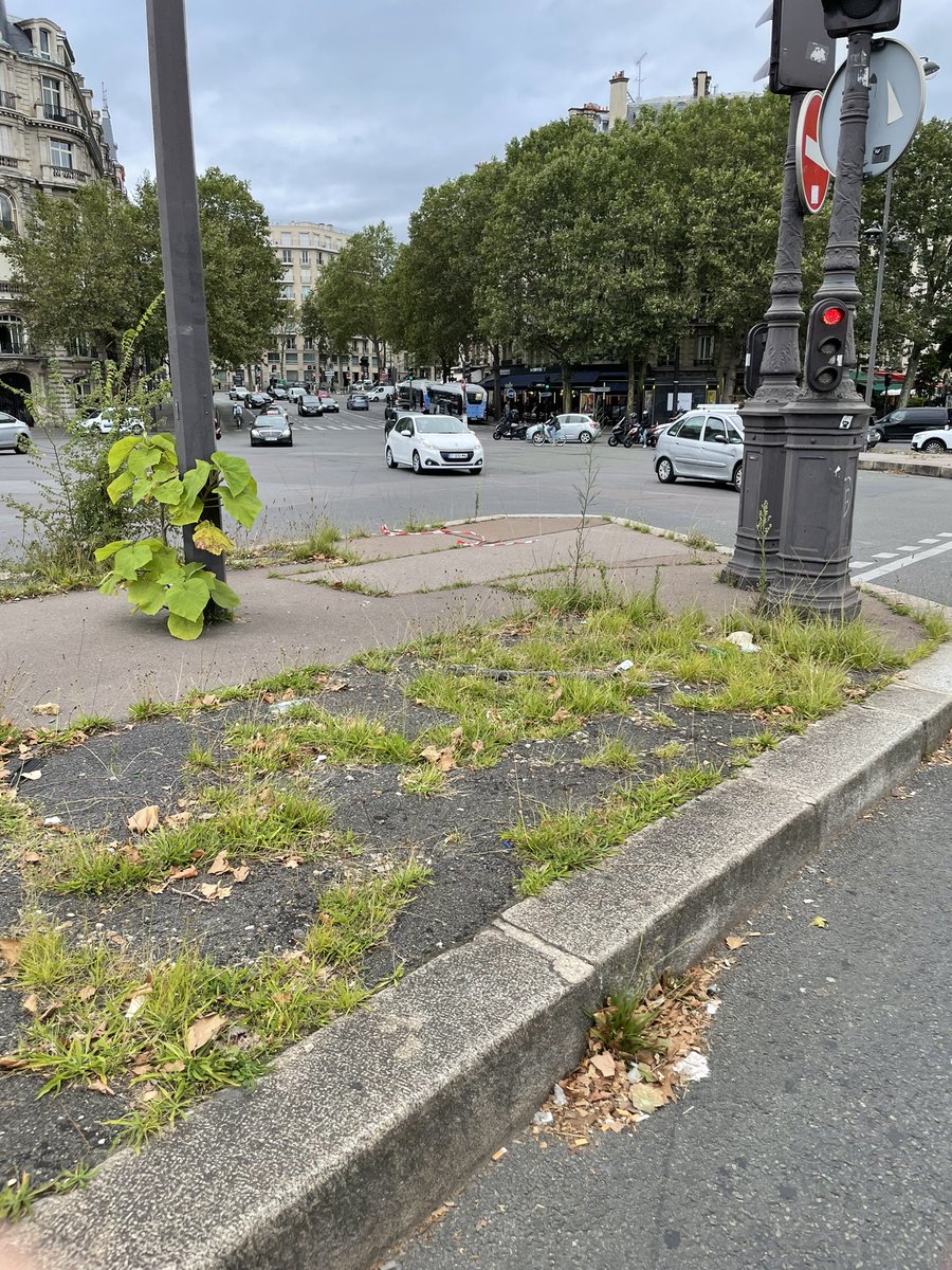 Hier Place de l’Alma. C’est vrai que ce n’est pas un endroit tellement touristique. Mais comment cela est-il possible <a href="/Anne_Hidalgo/">Anne Hidalgo</a> <a href="/Paris/">Paris</a> ? Faut-il en référer également à <a href="/saccageaparis/">.</a> ?