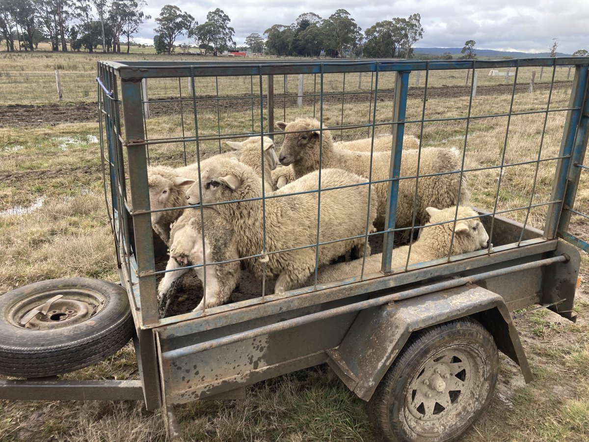 Stuart Grigg Ag-Hort tweet media