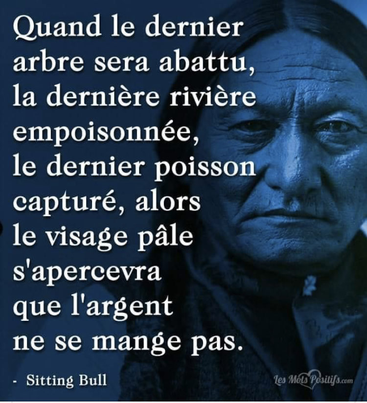 patrick_seneca's tweet image. 