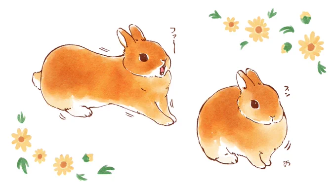 🥖伸び縮み🍞 
