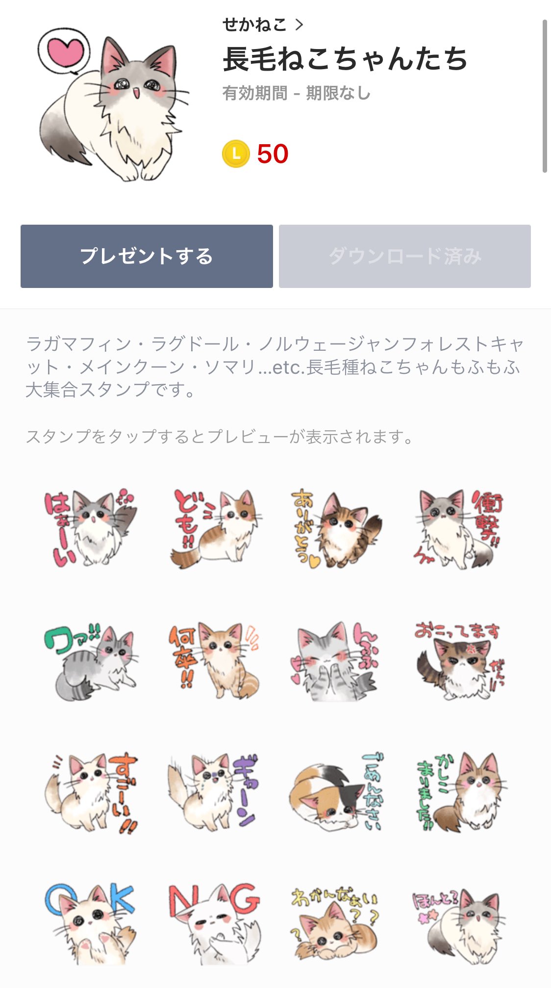 せかねこ on X: せかねこ on X: