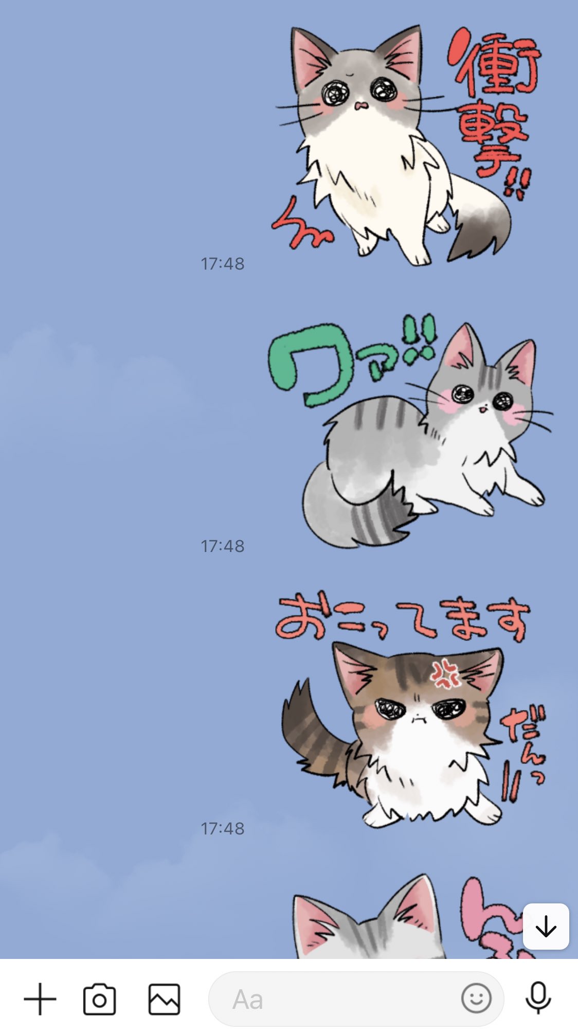 せかねこ on X: せかねこ on X: