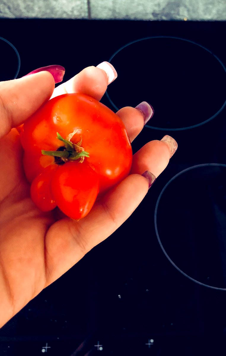 Selbst angebaute Tomaten #schmecken einfach am besten