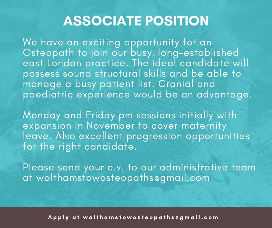 WalthamOsteo's tweet photo. Looking for a new job? We are very excited to be able to offer a superb opportunity for any passionate osteopath with the right skills. #osteopathy #jobvacancy #wearehiring #E17 #Walthamstow #Leyton #Chingford #Leytonstone #HighamsHill. https://t.co/2RyBI9llxB