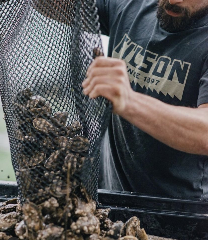 sporting_lodge's tweet photo. The new Filson ranger limited edition tee now available at #thesportinglodge #filson #filsonbags #filsonjacket #filsontee Shipped worldwide https://t.co/8rLBVWGu8G https://t.co/cgocHLCsys
