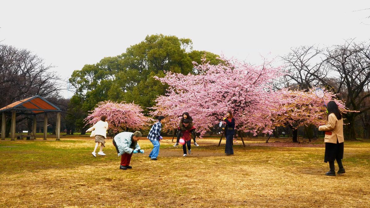 short_piece's tweet photo. プログラム発表🎫
9/18土 15:15- #柳英里紗 監督短編映画！
映画祭でもゆかりのある冨永昌敬監督、守屋文雄監督ほか様々な監督たちと様々な映画を作り上げてきた女優・柳英里紗が自ら監督した
『COSMIC BLUE』1
『世田谷の優ちゃん』
2作品を上映！
2月の映画祭に続き、柳英里紗監督トーク付きです🎤✨ https://t.co/fBG9XXMkAH