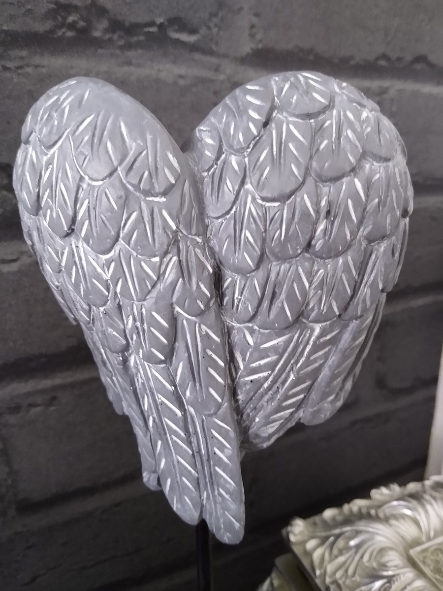 SharoniePoni's tweet image. #AngelWings #ForMyDad 🕊️♥️