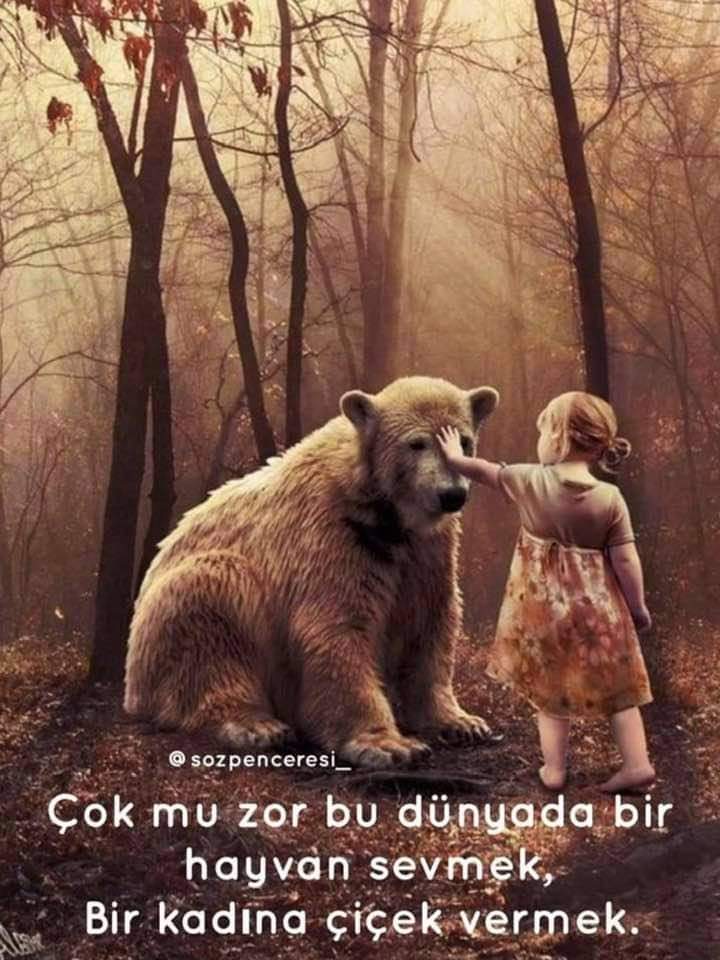 cevreormanorgtr's tweet photo. "Bir gün hayvanlarla konuşabilsek bize tek bir şey soracaklardır. Neden?" 
Anthony D. Williams https://t.co/cm9PFsHIAC