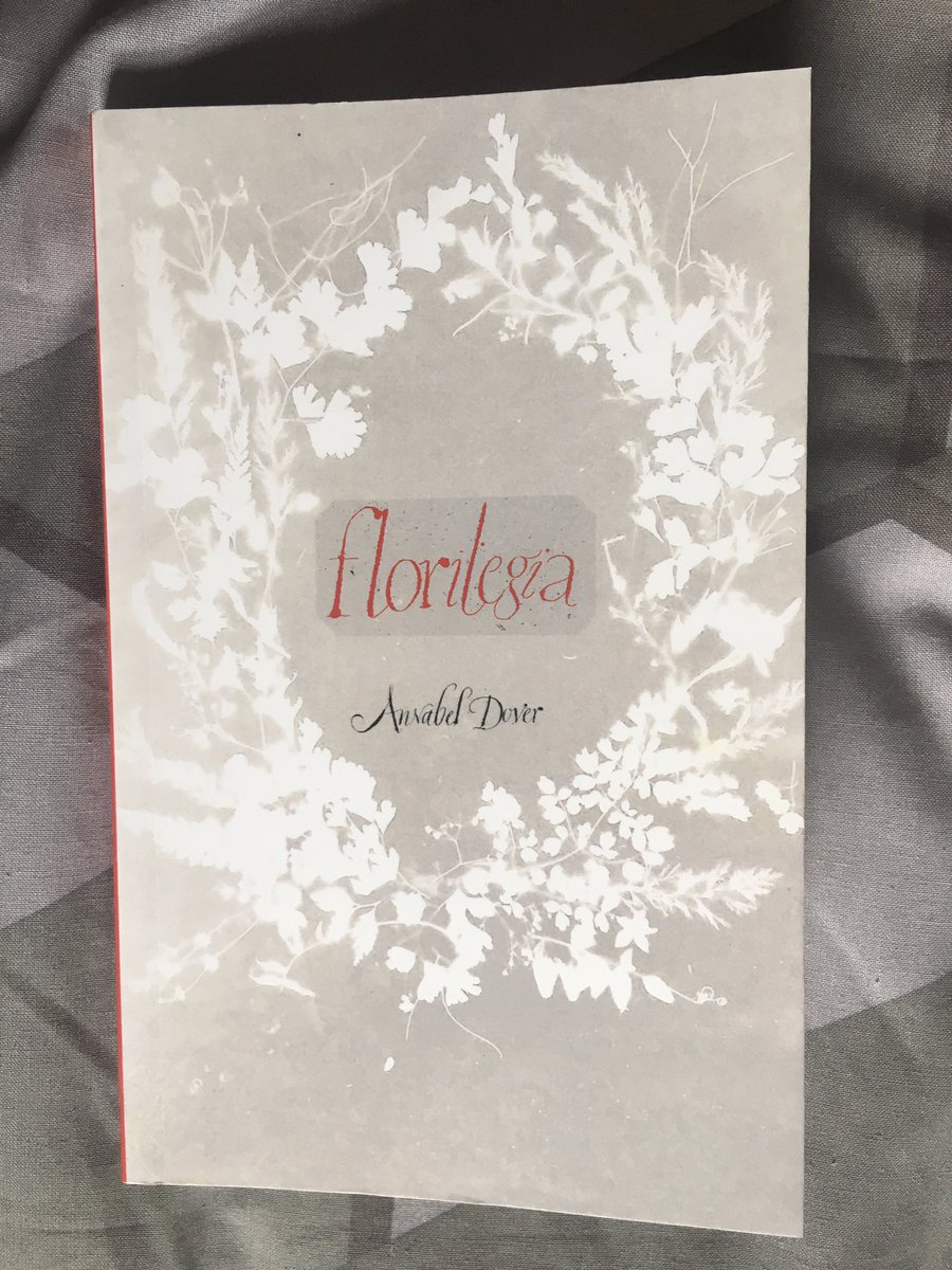 AnnebellaPollen's tweet image. Appreciation post for this poetic, dreamlike, genre-defying book by artist @Captainpye An imagined biography of photographer Anna Atkins filled with impossible magical-realist time-travelling and curious images. A snip at £10 from @Coolmoistbooks!